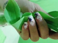 /album/manikura-nechtovy-dizajn/a1336129870040-jpg/
